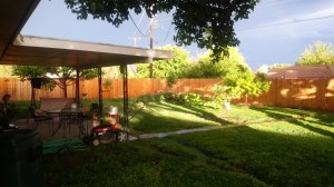 Reflect, meditate, pray...